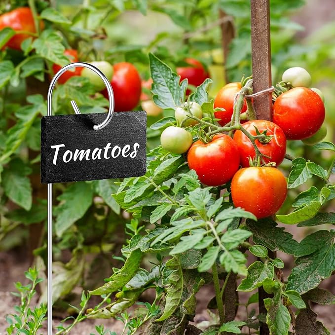 30 Pcs 30 cm/11.81 in Silver Plant Stake, Rustproof Curled Tip Plant Label Hooks for Pots, Bend-Resistant Garden Label Hooks for Outdoor Flowers, Vegetables, Planters, Containers, Greenhouse