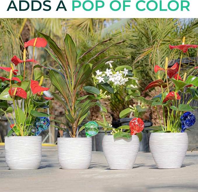 Reifier 6-Pack Plant Watering Globes - Self Watering Bulbs for Indoor & Outdoor Plants - Hand-Blown & Colorful Water Globes - Aqua Globes for Plants - Measures 6" L x 2.5" D