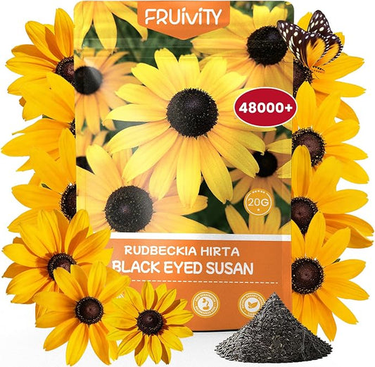 48000+ Black Eyed Susan Seeds for Planting, Perennial Wildflower Seeds for Pollinator Gardens, Heirloom Flower Seeds to Plant Outside & Inside, Borders, Containers, Rudbeckia hirta