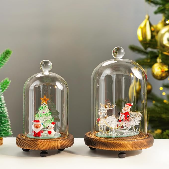 ZEERSHEE Cloche Glass Dome with Wooden Base, Set of 2 Display Bell Jars | Two Sizes Included, Clear Glass Display, Stable Wooden Base for Flowers, Figurines, Candles and Keepsakes