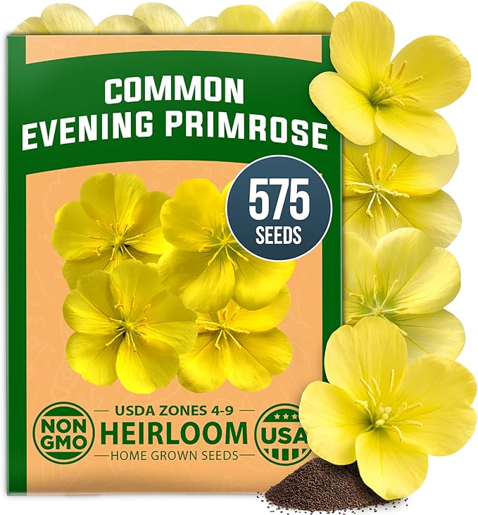 HOME GROWN Evening Primrose Seeds for Planting, Oenothera Lamarckiana, 575 Heirloom Non-GMO Wildflower Seeds, 0.3g, Yellow Blooms, Drought Tolerant, Pollinator Garden, Zones 4–9