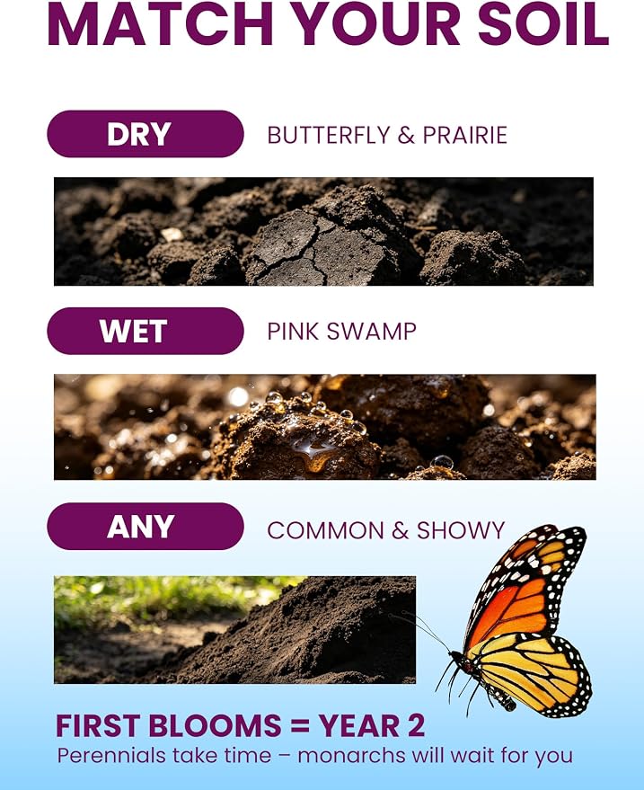 Wildflower Seeds – Monarch Cafe Milkweed Mix, 5 Heirloom Varieties 100% Native Milkweeds, 7,500+ Seeds (4oz) Covers 240-300 sq.ft., High Germination for Monarch Butterfly Garden