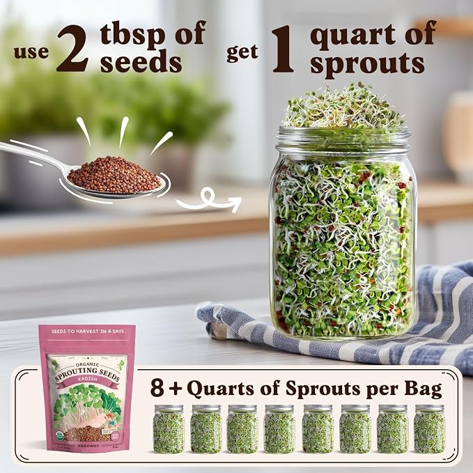 Seedboy Organic Non-GMO Radish Seeds for Sprouting - USA Grown Microgreens Sprouting Seeds - 8 oz Bag Makes 8 Quarts / 32 Servings (Daikon Radish)