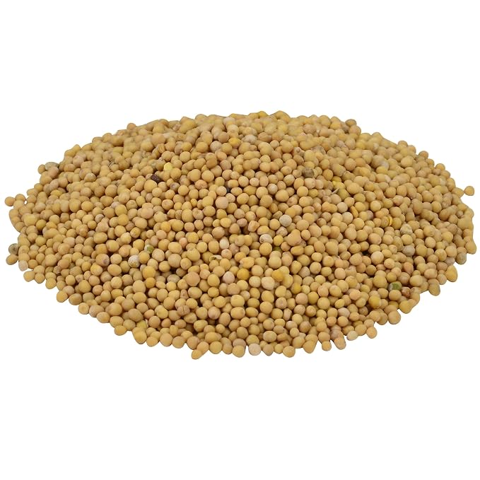 McCormick Culinary Whole Yellow Mustard Seed, 22 oz - One 22 Ounce Container of Yellow Mustard Seeds, Perfect for Pickling, House-Made Rubs and Dips