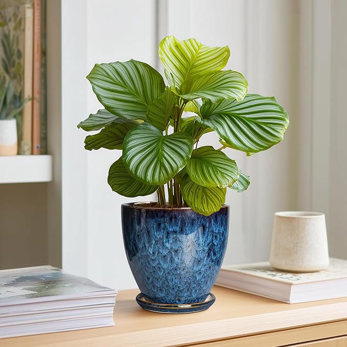 6 Inch Plant Pot - Ceramic Pots for Plants with Drainage Hole and Saucer, Ceramic Planters for Indoor Plants Outdoor, Decorative Round Planter, Room Home Decor, Gifts for Plant Lovers, Blue