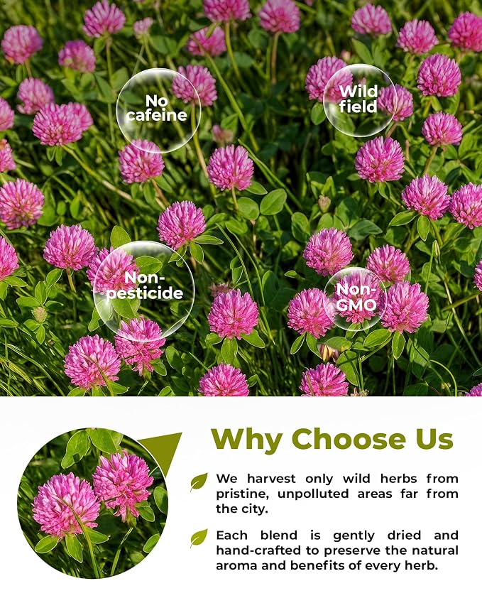 40 Bags Red Clover Herb Tea (Trifolium Pratense) – 40 Count 1.5g Herbal Bags Trébol Rojo