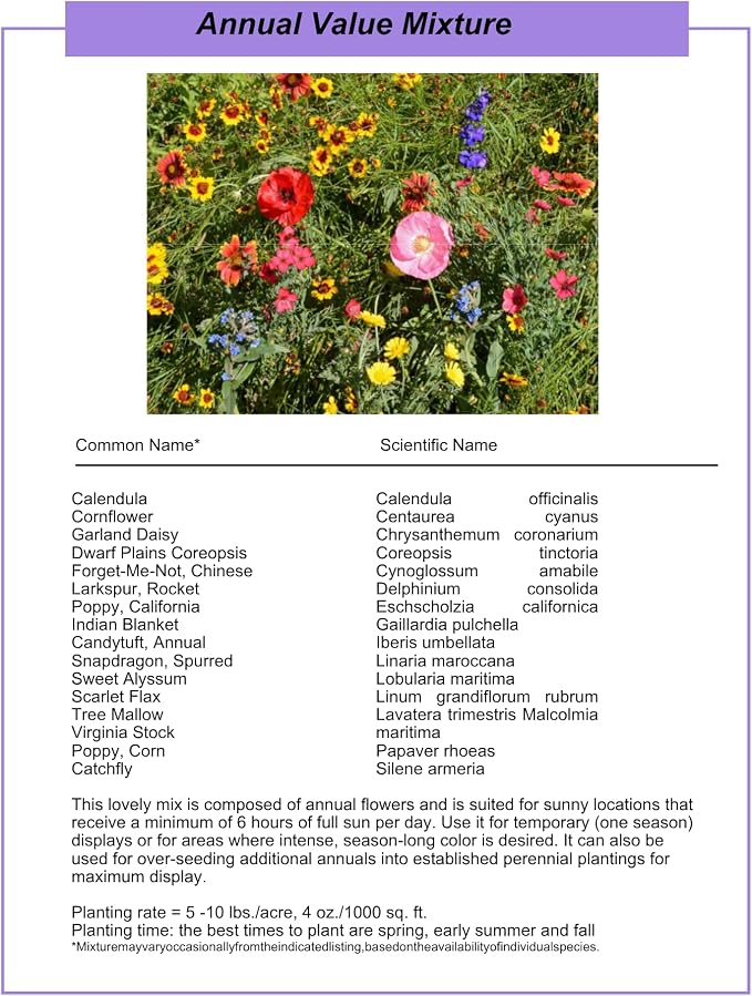 Wildflower Seed Shaker – Awesome Annual Mix by GevaGrow - 2 Ounce Shaker