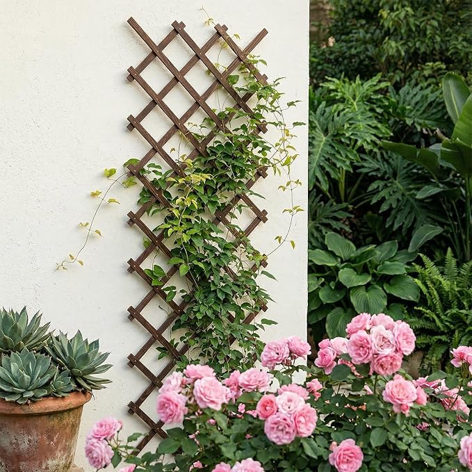 Expandable Wooden Lattice Panels Outdoor Garden Fence Trellis for Climbing Plants Roses Vines Cucumbers Weather Resistant Decorative Wood Privacy Fence (2, 38''x 89'')