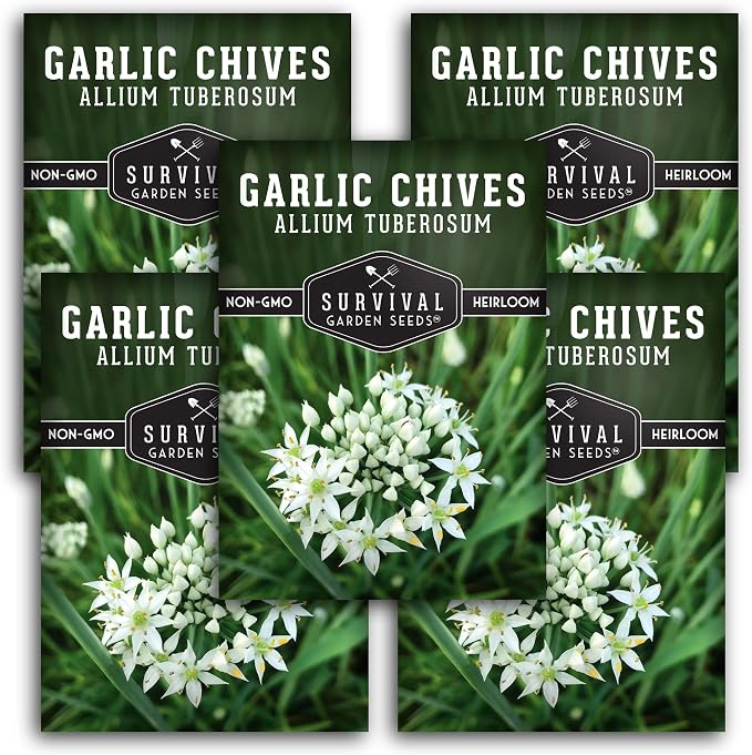 Garlic Chives Seeds for Planting - Heirloom Perennial Chinese Herb - Survival Garden Seeds (5 Packs)