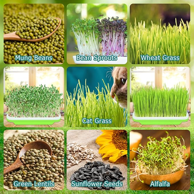 Legigo 5 Pack Seed Sprouter Trays- Soil-Free Cultivation Microgreens Tray, BPA Free Nursery Tray with Planting Paper for Indoors or Outdoors Sprouting Seeds, Grow Grass, Beans (Without Lids)