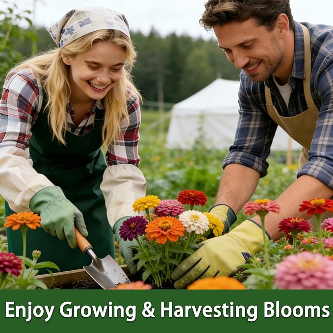 LUOJIBIE Zinnia Seeds, 13000+ Bulk Pack Mixed Colors Large Blooms Seeds, California Giant Zinnia Seeds for 2026, High Germination Non-GMO, Wildflower Seeds for Planting Indoor Outdoor, Open Pollinated