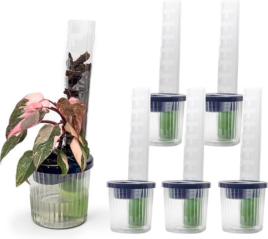THICCLY Medium GrowLid 5 Pcs (Royal Blue) - Self Watering Clear D-Shaped Plastic Moss Pole Hydroponics Growing System Kratky Hydroponic Kit Moss Pole Monstera Plant Support Philodendron and Anthuriums