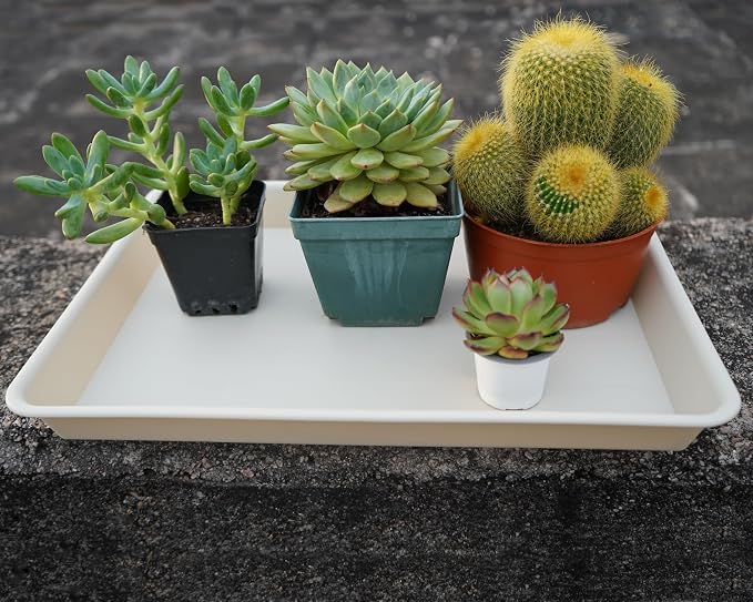 VUWEZ 2 Pack Rectangular Plant Saucer Tray, Heavy Duty Plastic, Beige, 17.5" x 10.6" x 1.5" (2 pack), Plant Drip Trays for Pots, Seed Starter Growing Trays, Indoor/Outdoor Use