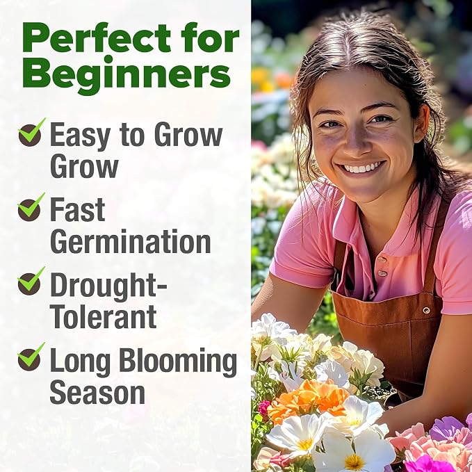 HOME GROWN 23,500+ Moss Rose Seeds (Bulk Pack) Annual Flower for Ground Cover - Heirloom Portulaca Seeds for Planting Outdoors - Great for Low-Maintenance Gardens (Portulaca grandiflora)