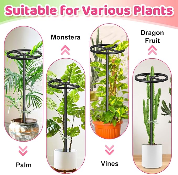 Metal Dragon Fruit Trellis, Adjustable Durable Dragon Fruit Plant Trellis Vertical Indoor Support Frame for Climbing Plants Trees Cactus Garden Outdoor Potted Support, 2 Pcs