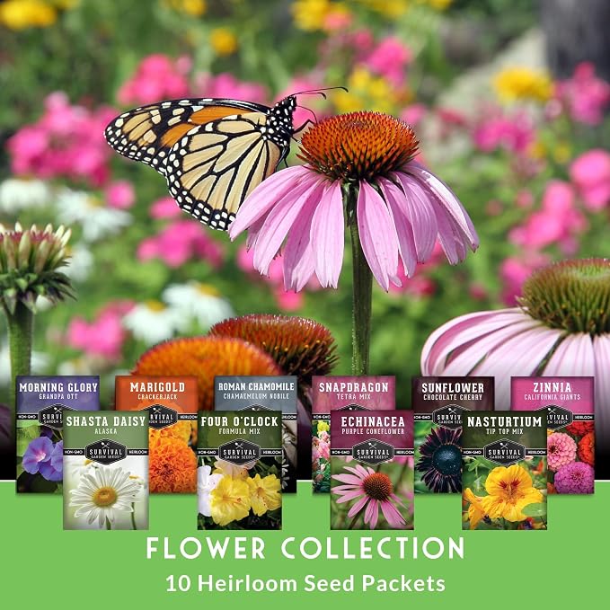10 Flower Seed Collection for Planting - Zinnia, Sunflower, Marigold, Snapdragon, Nasturtium, Morning Glory, Chamomile, Shasta Daisy, Purple Coneflower, Four O’Clock - Survival Garden Seeds