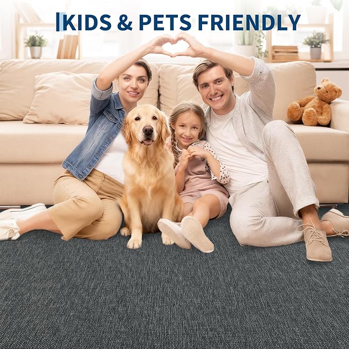 Garvee Modern Solid Washable Rug 8x10 Area Rugs for Living Room Charcoal | Woven Textured Ultra-Thin Rug Non Slip Non-Shedding Indoor Floor Mat Foldable Farmhouse Carpet for Bedroom Office Dining Room