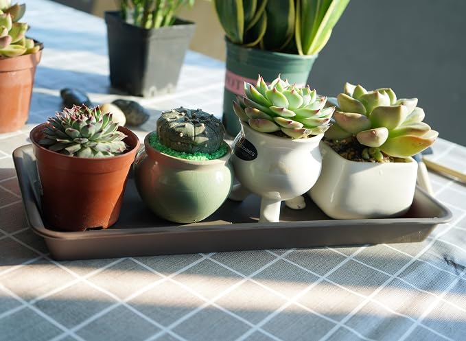 VUWEZ 6 Pack Rectangular Plastic Plant Tray Saucer, Brown, 6 x 11 Inch, Modern Style, Durable, For Indoors & Outdoors, Protects Floor from Water, Fits Most Windowsills
