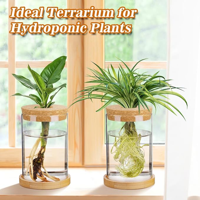 Biggun Plants Propagation Station - 2Pcs Desktop Plant Terrarium Glass Hydroponic Vases, Water Plant Jars, Gardening Gifts for Women Mom Plant Lovers (Thick Straight Shape, Separated Tray Style)