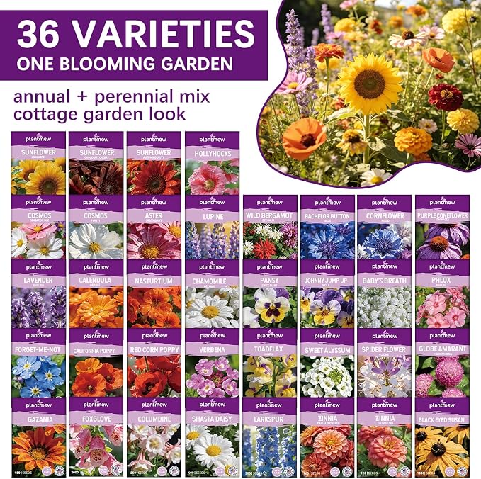 Wildflower Seeds Mix 1/2 lb, 19830+ Seeds Perennial& Annual 36 Varieties Flower Seeds for Planting，Non-GMO Heirloom Bulk Wild Flower Seeds for Indoor & Outdoors, FlowerSeed Packets for Home Garden