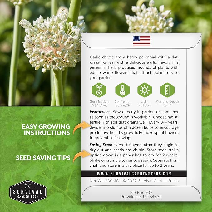 Garlic Chives Seeds for Planting - Heirloom Perennial Chinese Herb - Survival Garden Seeds (3 Packs)