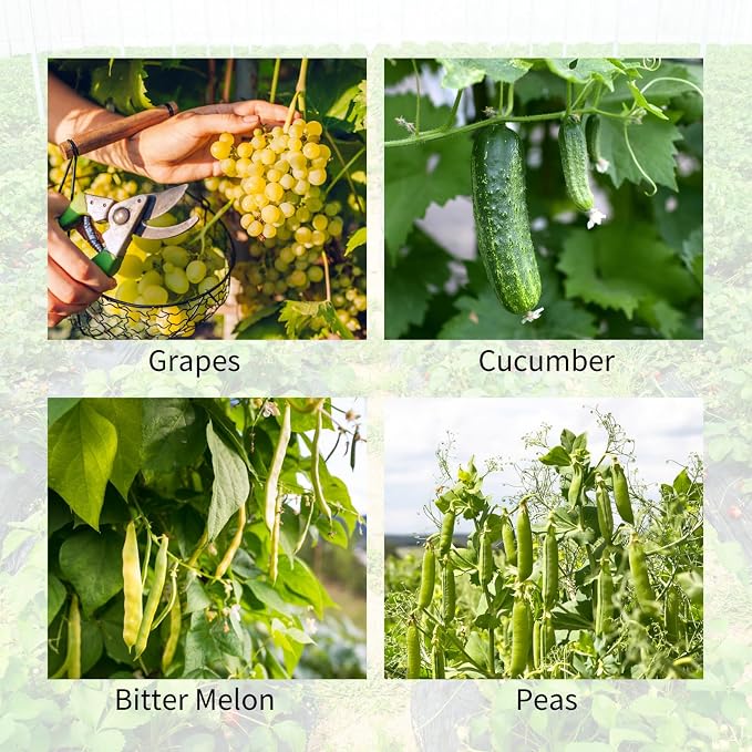 2 Pack Cucumber Trellis, 59" High Foldable A-Frame Garden Trellis for Raised Bed Garden Grow Support with Plant Support Clips Ties for Cucumber,Tomato, Climbing Plants and Flowers