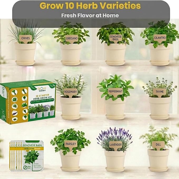 47 PCS Herb Garden Seeds Starter Kit, 10 Non-GMO Culinary Herb Seeds with Beige Pots & Planters for Windowsill, Herb Growing Kit Indoor & Outdoor, Unique Herb Garden Gift Set for Gardening Lovers