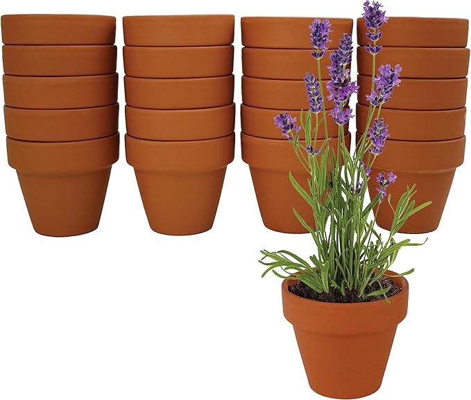 BUZZY Seeds Mini Terracotta Lavender Grow Kit, Assorted 20-Pack - Mini Terracotta Pot Grow Set - 100% Grow Guarantee