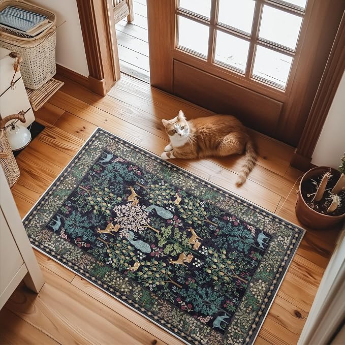 2x3 Washable Throw Rugs for Entryway: Door Mat Indoor Entrance Small Area Rug Non-Slip Low Pile Soft Kitchen Rug for Front Door Indoor Entrance Entry Kids Room Bedside