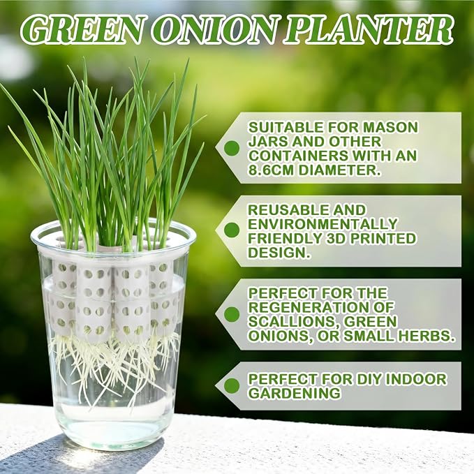 2 Pack Green Onion Planter Scallion Grower Seed Sprouting Kit Compatible with Regular Mouth Mason Jar for Windowsill Garden, Hydroponics, and Propagation Hydroponics Enthusiasts (White)