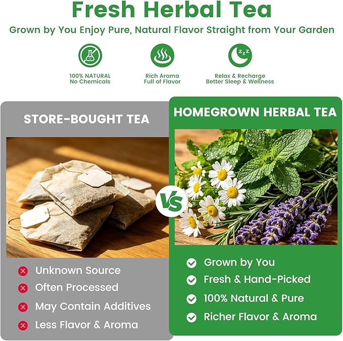 35 Medicinal Tea Herb Seeds Variety Pack with Planting Tools, Herbal Tea Garden Starter Kit for Beginners, Indoor Outdoor Gardening Gift Set, House Warming Gifts New Home for Women Men Mom Dad