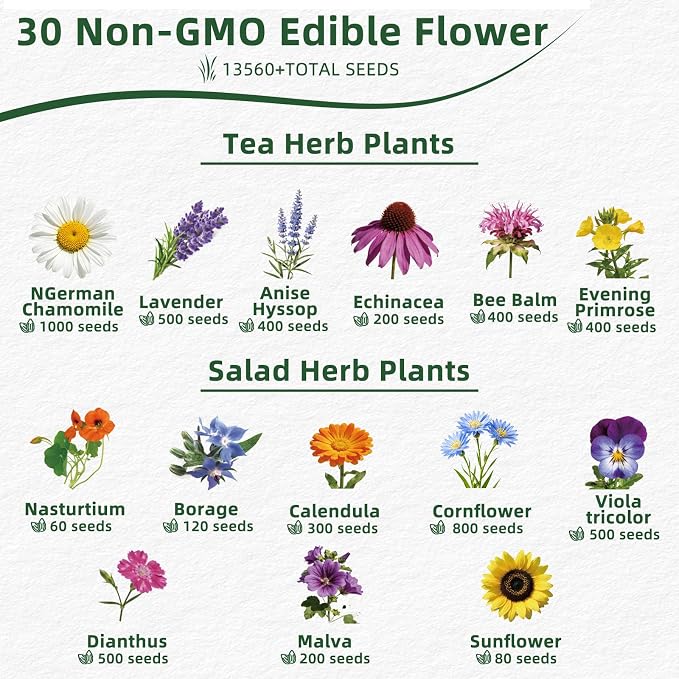 30 Edible Flower Seeds Variety Pack, 13500+ Premium Garden Seed Vault Kit, Pollinator Friendly, Indoor & Outdoor Year Round Planting, Nasturtium, Lavender, Borage, Calendula, Chamomile & More