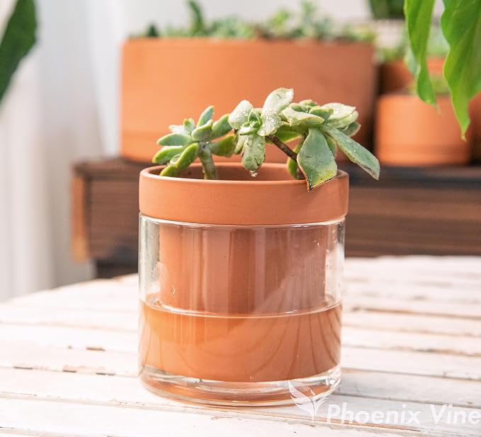 Phoenix Vine 4 Inch Self Watering Planter Pot, Terracotta Clay Pot with Glass Reservoir for Indoor Plants, Herbs, Flowers, Set of 2, 52-A-E-2