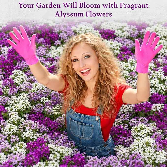 8000+ Purple & White Sweet Alyssum Seeds for Planting - Mixed Alyssum Flower Seeds, Fragrant Ground Cover for Outdoor Gardens, Borders, Containers & Rock Gardens, Attracts Bees & Butterflies
