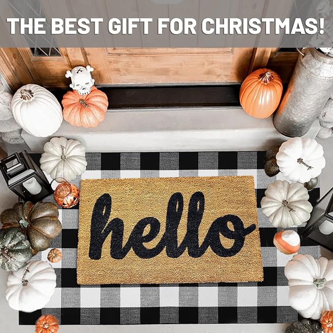 IOHOUZE Buffalo Plaid Checkered Rug 3x5 Ft Front Door Mats, Washable Area Rugs for Front Porch Decor, Spring Summer Welcome Mats Outdoor, Black White Rug for Farmhouse/Entryway/Home Entrance