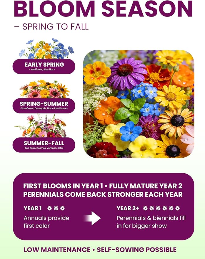 Wildflower Seeds Mix – Pollinator All-Stars, 20 Heirloom Varieties, 10,000+ Seeds (4oz) Covers 100-120 sq.ft. – High Germination for Bees, Butterflies, Hummingbirds & Moths Outdoor Garden