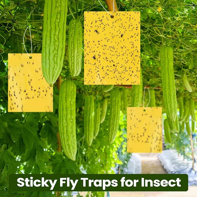 Qualirey 700 Pcs 6x8 Inch Yellow Sticky Traps for Gnats, Dual-Sided Sticky Gnat Traps for Indoor Outdoor, Fly Catcher for Fungus Gnats, Fruit Flies, Whiteflies– Bulk Pack with Twist Ties