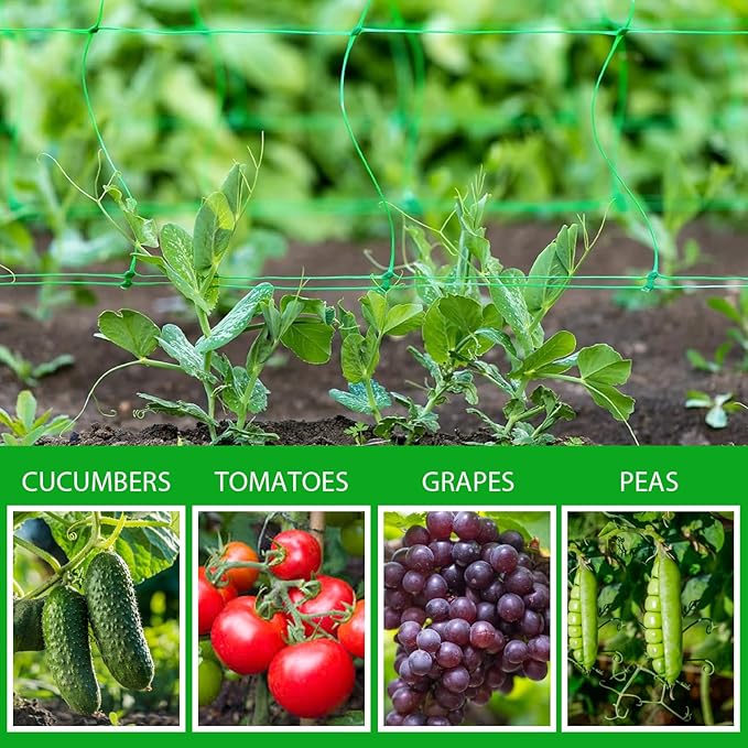 Toolazy Trellis Netting 79" x328' Green - Heavy Duty 6" Mesh Plant Support Net for Climbing Vegetables, Garden Trellis Roll for Tomato Cucumber Pea Bean Vine Grow Tent Scrog Hydroponic Use