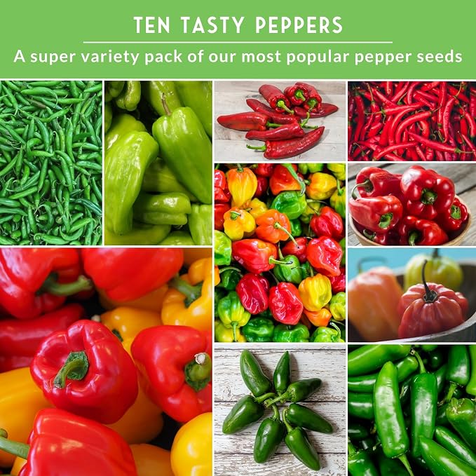 10 Pepper Seed Variety Pack for Planting - Survival Garden Seeds | Jalapeño, Serrano, Cayenne, Bell, Habanero, Cubanelle, & More – Hot & Sweet Heirloom Non-GMO Peppers Collection