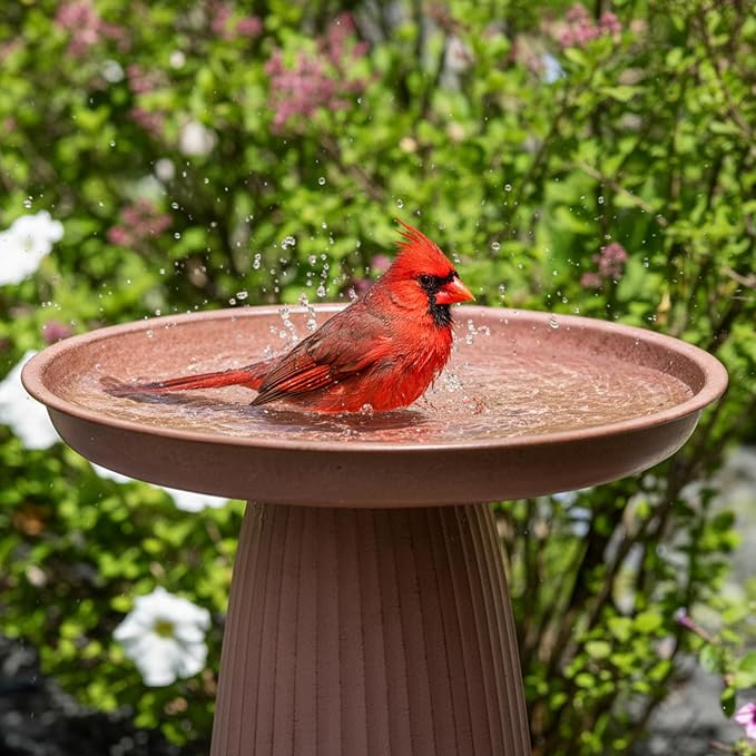 Sunnydaze Gleeful Garden 23" Iron Pedestal Bird Bath for Outside - Modern Shallow Basin Birdbath for Outdoors with UV-Protected Rust-Resistant Finish for Patio, Garden, Yard Decor - Matte Canyon Clay