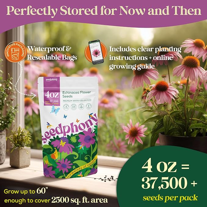Seedphony Echinacea Seed Pack 4 oz - 37,500 Non-GMO Heirloom Echinacea Seeds for Planting, Perennial Flowers in Waterproof Seed Packet, Coneflower Seeds for Planting Garden Indoor & Outdoor Gardening