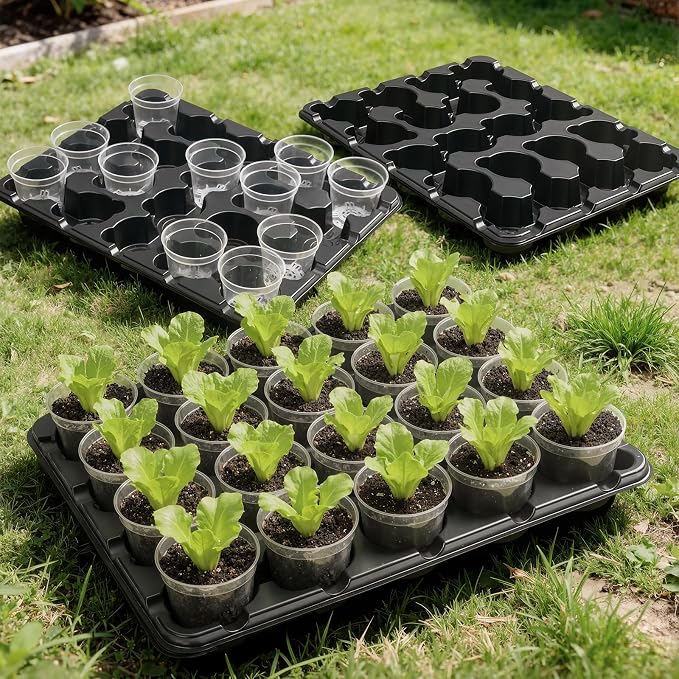 homenote 3 Inch Seed Starting Trays with Clear Nursery Pots, 2-Pack 20-Cell Seedling Starter Trays & 3" Nursery Pots 40 Pcs with Drainage, Plant Starter Germination Trays for Indoor Outdoor Growing