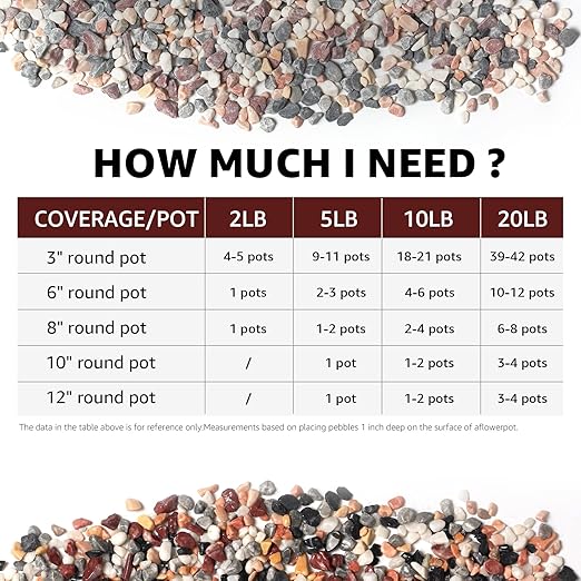 5lbs Natural Gravel Pebbles for Succulents and Cacti, 1/5 Inch Decorative River Stones – Perfect for Vases, Aquariums, Terrariums, and Outdoor Gardening, Mixed Colors (Mixed, 20 Pounds)