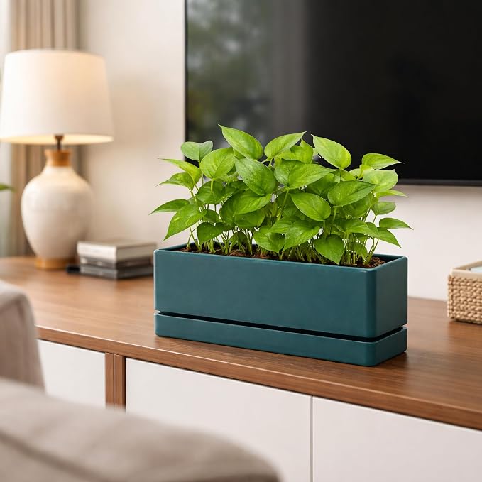 D'vine Dev 12 Inch Window Box Planter, Rectangle Plastic Herb Planter with Drainage Holes and Saucer, Indoor Succulent Cactus Vegetable Pot for Windowsill, Garden Balcony, Green, Set of 2, 76-X-C-2