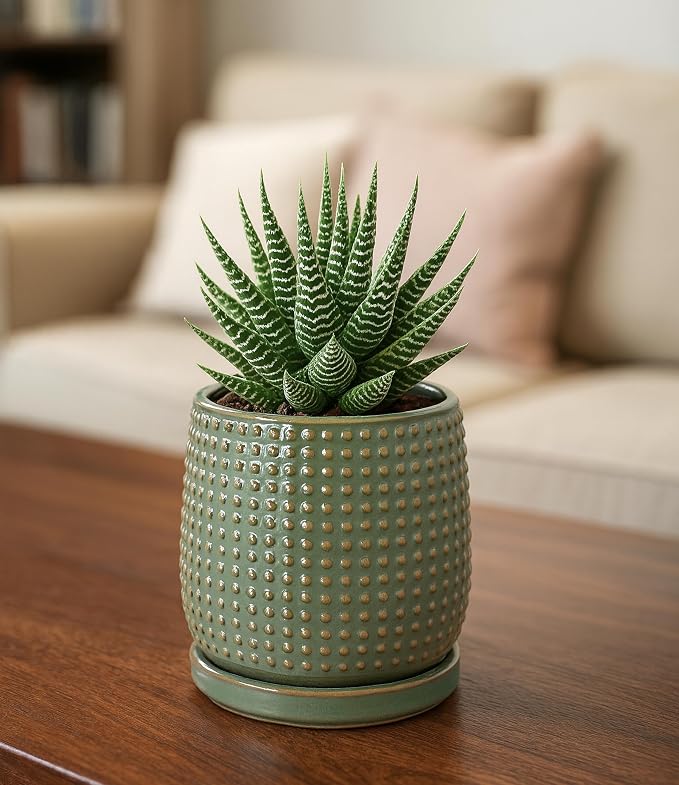 D'vine Dev 4 Inch Ceramic Beaded Stoneware Planter Pot - Flower Pot with Drainage Holes and Saucers for Indoor Succulent Plants or Flowers, Olive, 27-C-Z-0