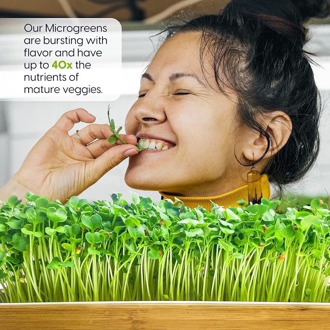 Organic Self-Watering Microgreens Growing Kit – Reusable Indoor Grow Tray with Organic Seeds, Grow Mats & Bamboo Frame – Easy No-Soil Microgreens Starter Kit (Broccoli & Salad Mix)