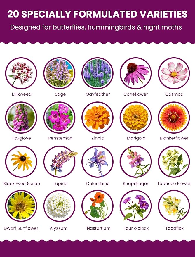 Wildflower Seeds Mix Hummingbird & Butterfly Cafe, 20 Heirloom Varieties, Specially Formulated to Attract Pollinators – High Germination for Outdoor Garden (4oz)