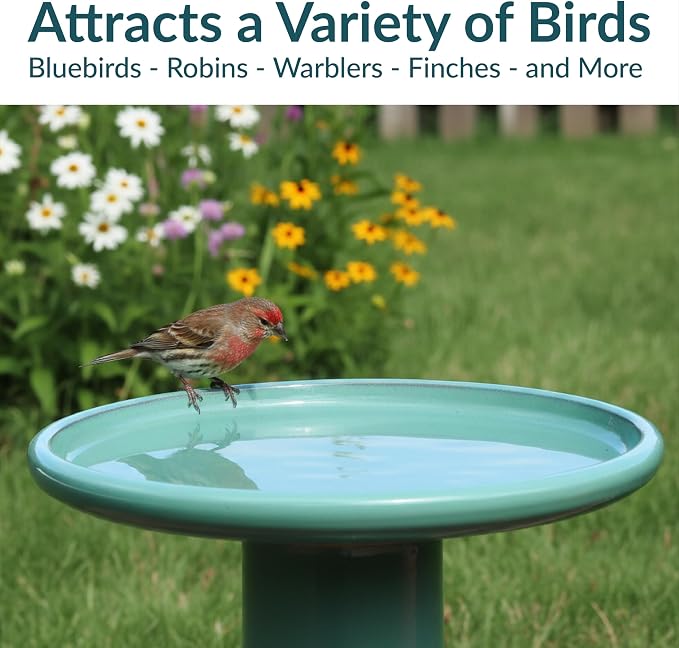 Sunnydaze 21" H Ceramic Bird Bath for Outside - Hand-Painted Outdoor Bird Bath Bowl, UV/Frost-Resistant Finish - Seafoam