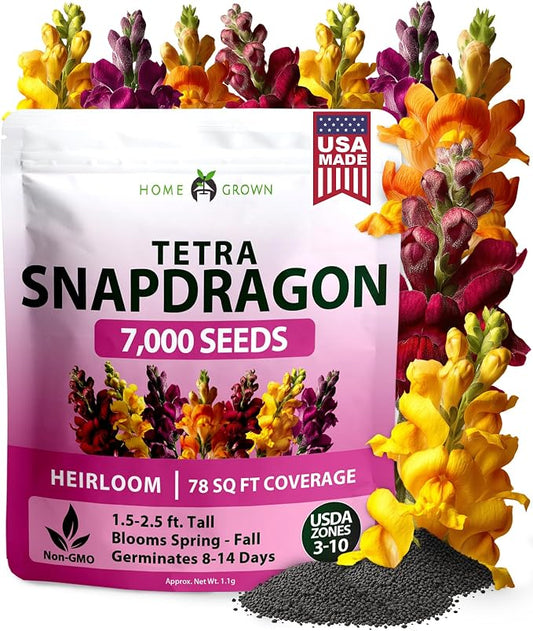 HOME GROWN Snapdragon ‘Tetra’ 7000 Seeds 1.1g Snapdragon Seeds Perennial Tall Flower Seeds to Plant Outside – Vibrant Mixed Colors, Cottage Gardens & Seasonal Bedding Displays (Antirrhinum majus)
