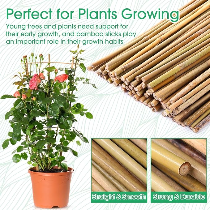 Suclain 60 Pcs Bamboo Plant Stakes Natural Garden Support Sticks for Climbing Plants Sturdy Bamboo Garden Stakes for Tomato, Beans, Flowers and Potted Plants, Vegetables, Indoor & Outdoor (2 ft)